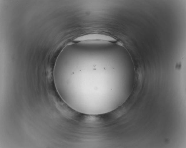 X0000113580380200910091508