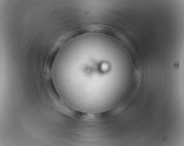 X0000113580381200910091508