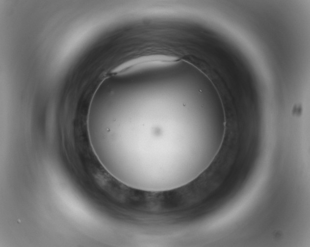 X0000113580382200910091508