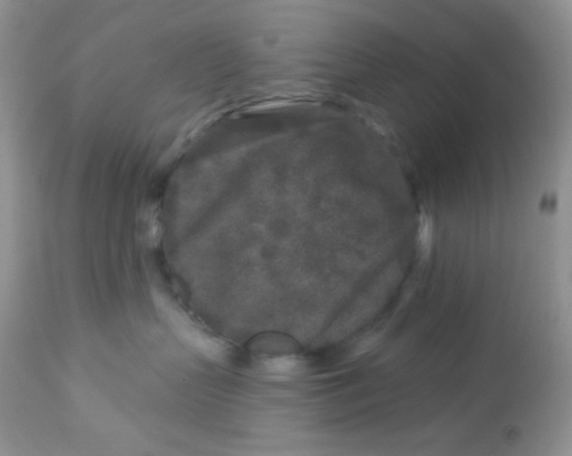 X0000113580383200910091508