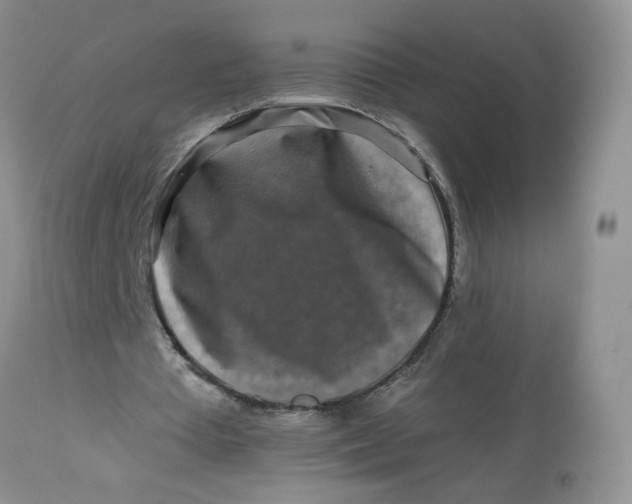 X0000113580385200910091507