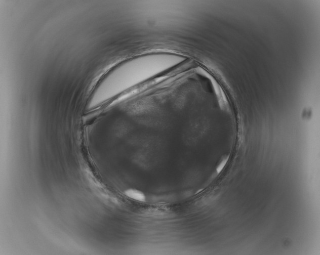 X0000113580386200910091507