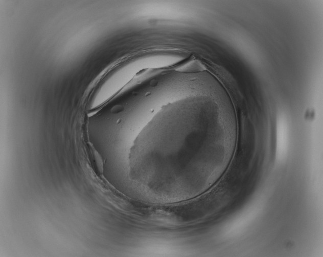 X0000113580387200910091507