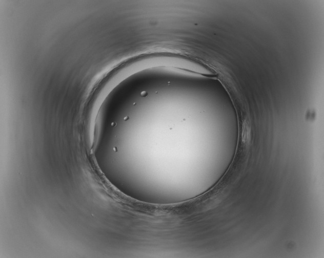 X0000113580388200910091507