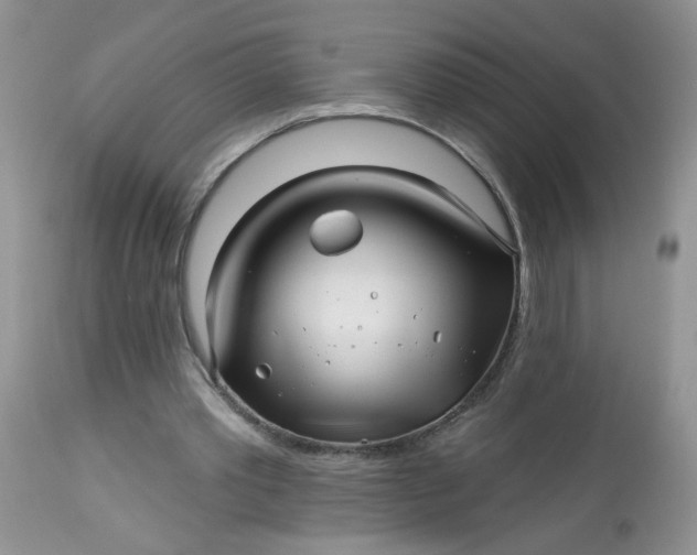 X0000113580389200910091507