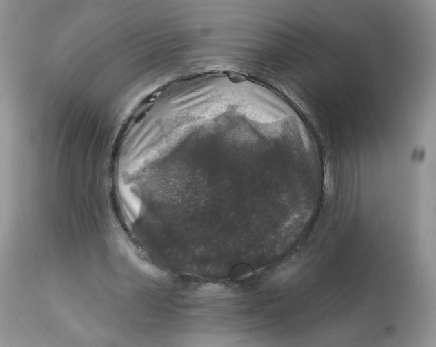 X0000113580390200910091507