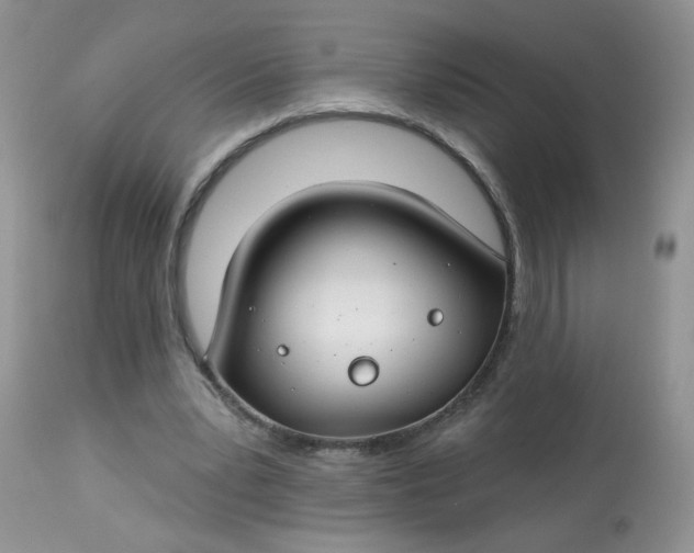 X0000113580391200910091507