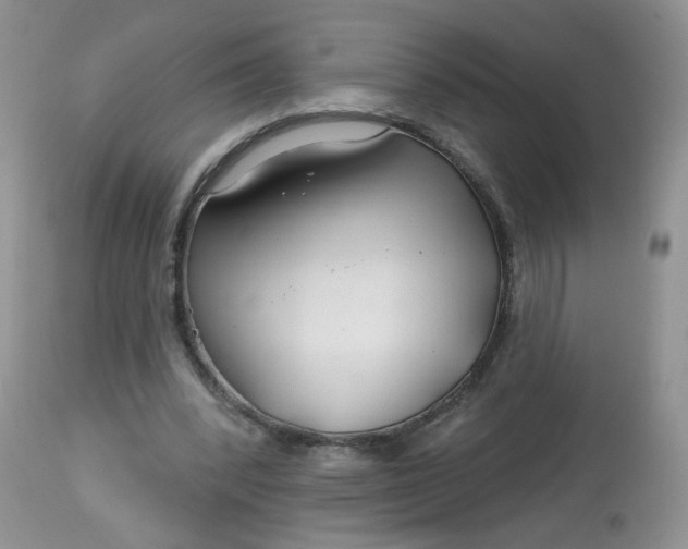 X0000113580392200910091507