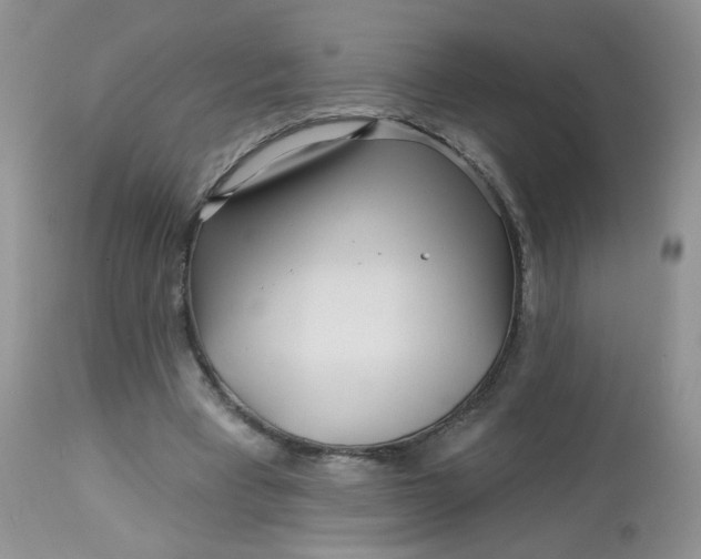 X0000113580393200910091507