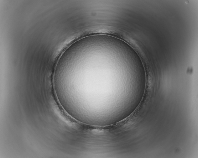 X0000113580394200910091507