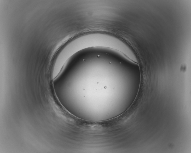 X0000113580395200910091507