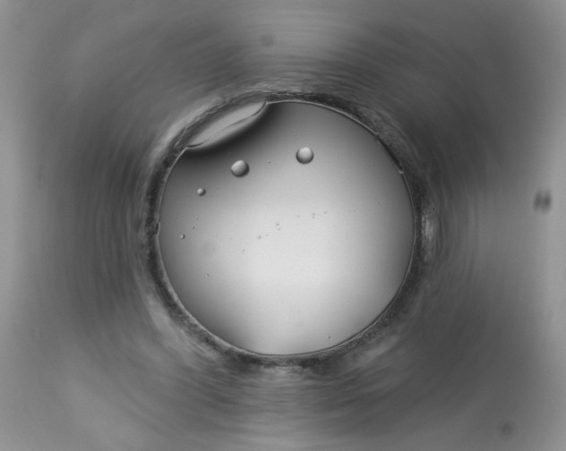 X0000113580396200910091507