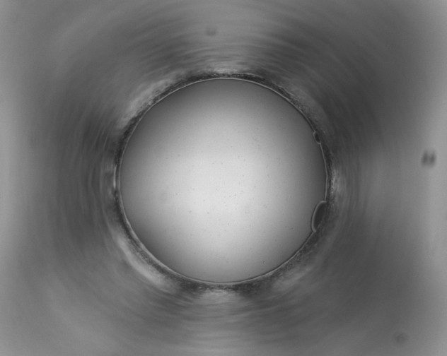 X0000113580397200910091507