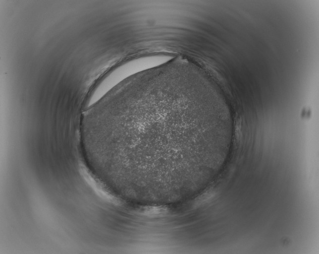 X0000113580398200910091507