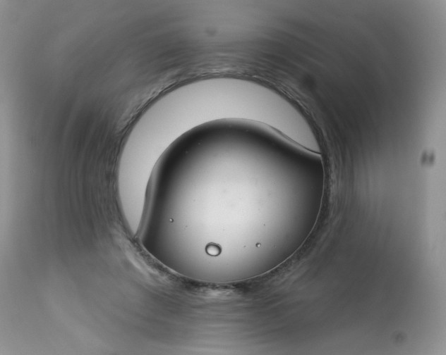 X0000113580401200910091507