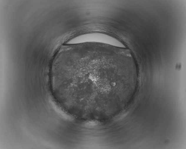 X0000113580402200910091507