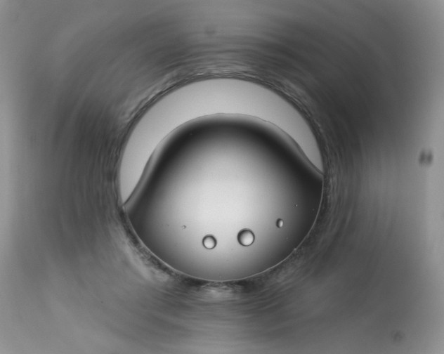 X0000113580405200910091507