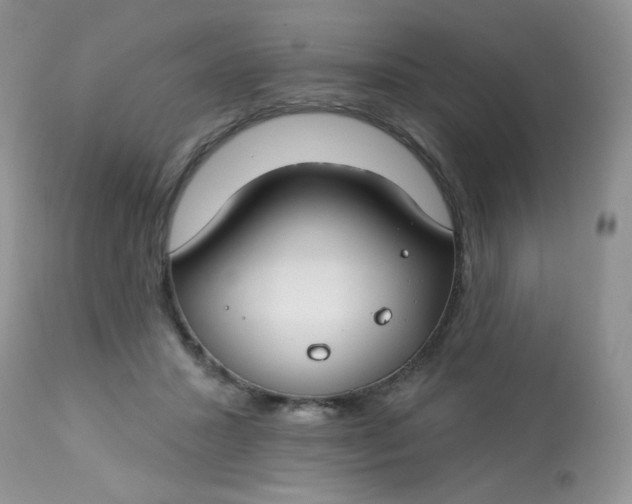 X0000113580407200910091507