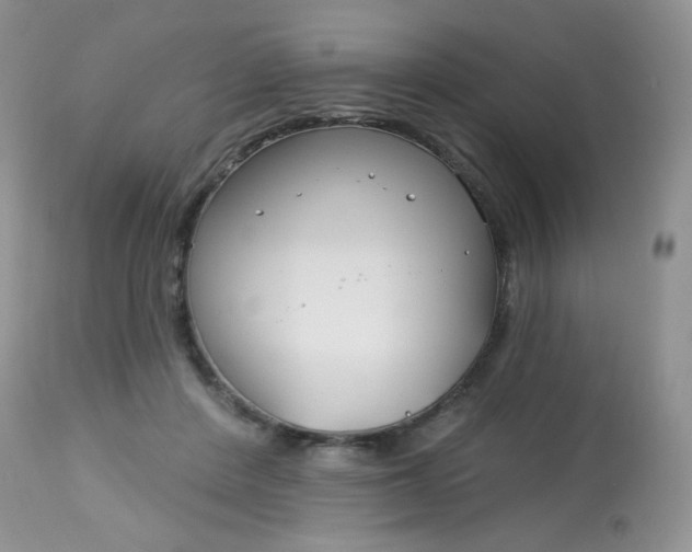 X0000113580408200910091507