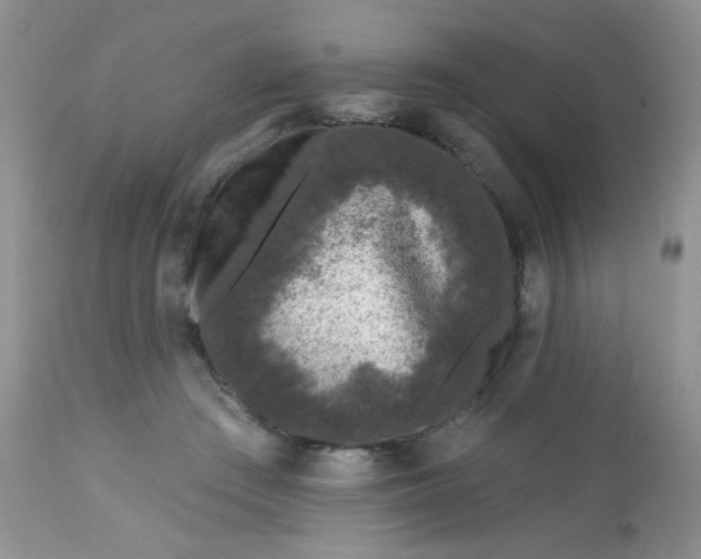 X0000113580409200910091507