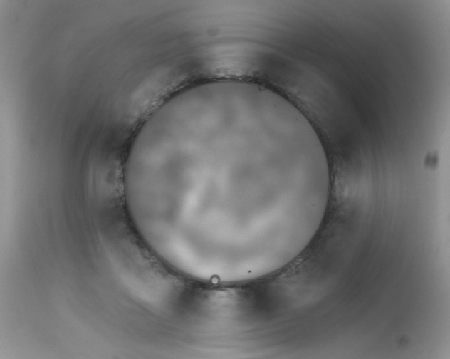 X0000113580411200910091507