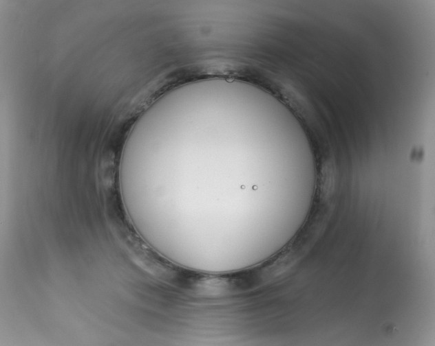 X0000113580413200910091507