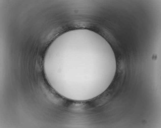 X0000113580414200910091507