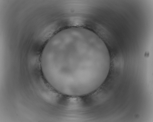 X0000113580415200910091507