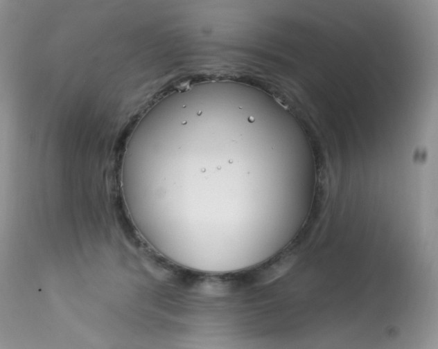 X0000113580416200910091507