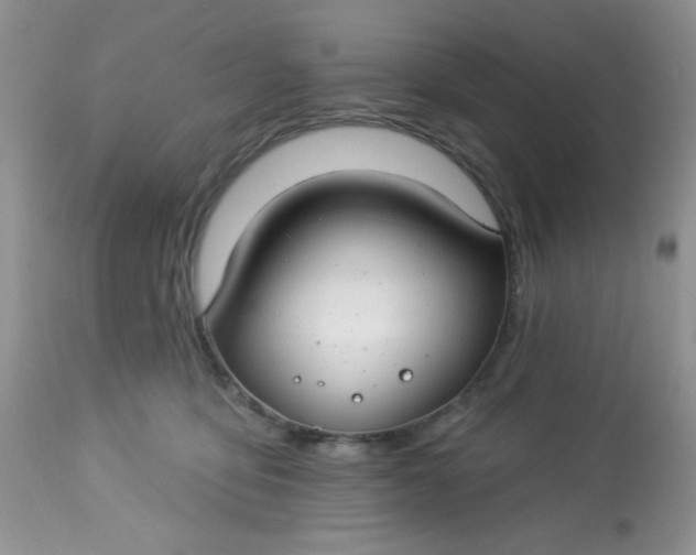 X0000113580419200910091507