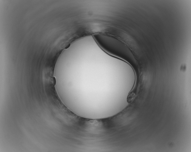 X0000113580421200910091507