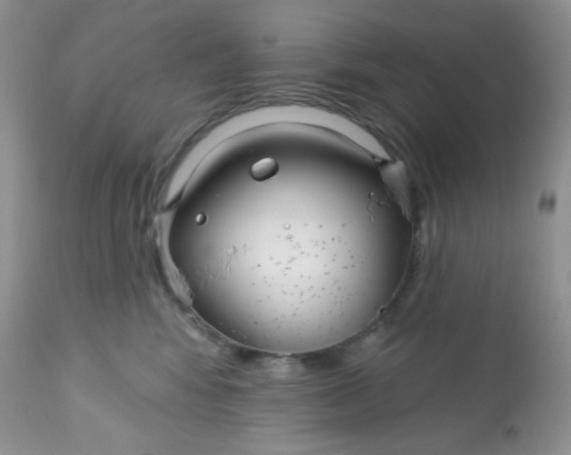 X0000113580424200910091506