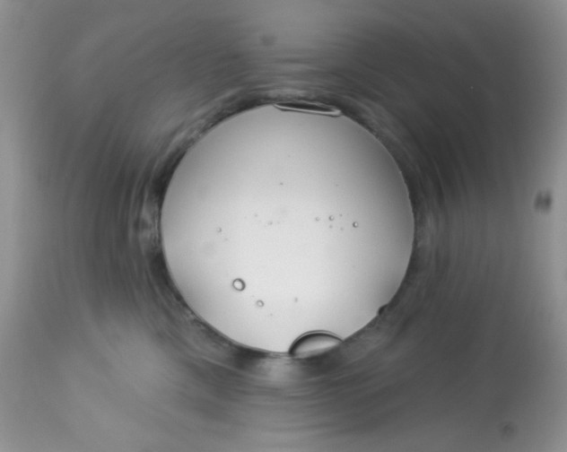 X0000113580425200910091506