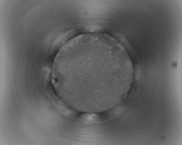 X0000113580427200910091506