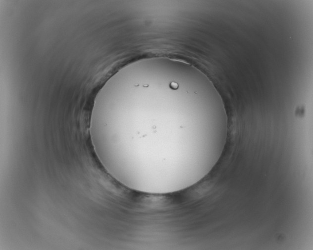 X0000113580428200910091506