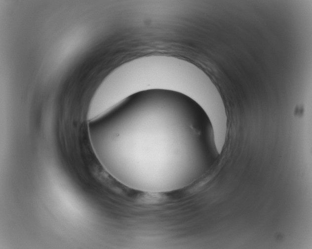 X0000113580429200910091506