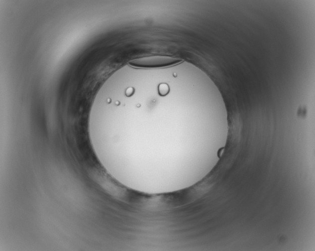 X0000113580430200910091506