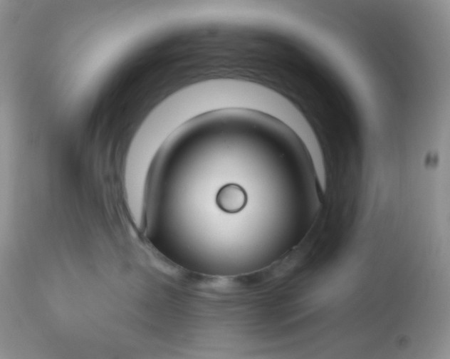 X0000113580431200910091506