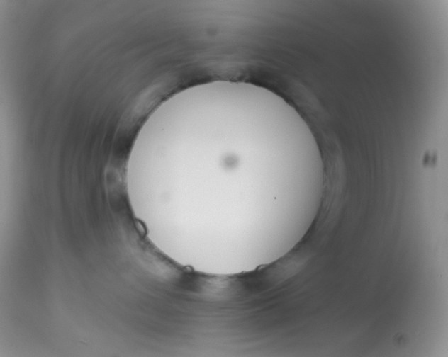 X0000113580432200910091506