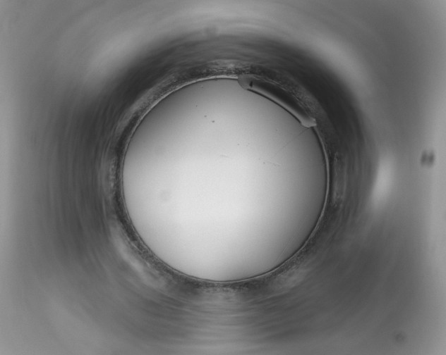 X0000113580435200910091506