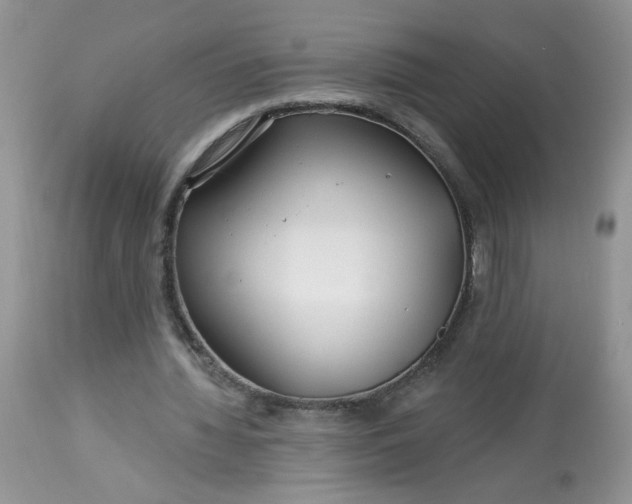 X0000113580436200910091506