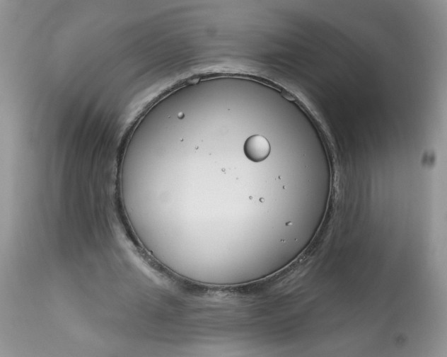 X0000113580437200910091506