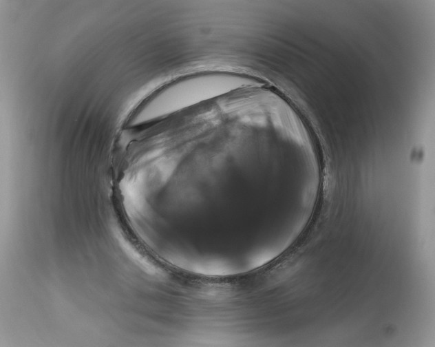 X0000113580438200910091506