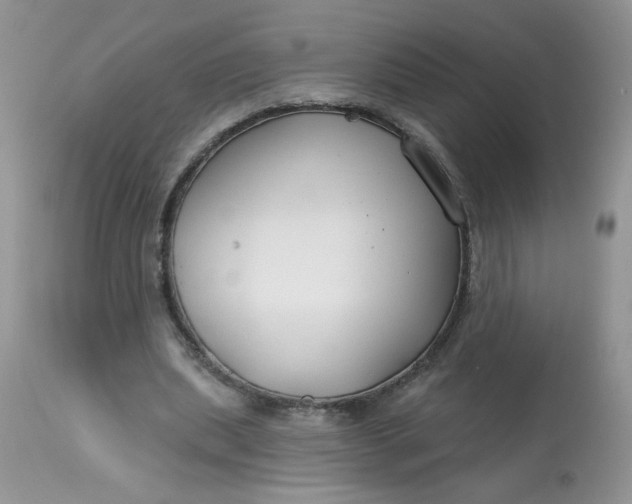 X0000113580439200910091506