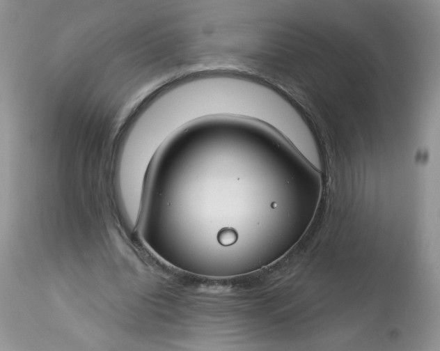 X0000113580440200910091506