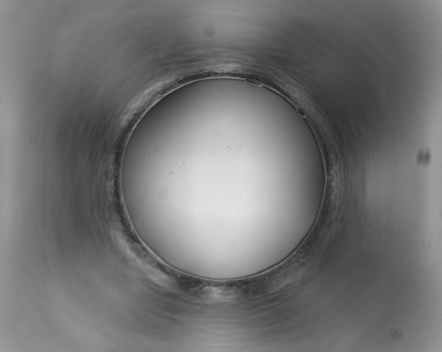 X0000113580442200910091506