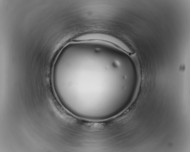 X0000113580443200910091506