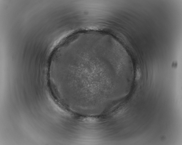 X0000113580444200910091506