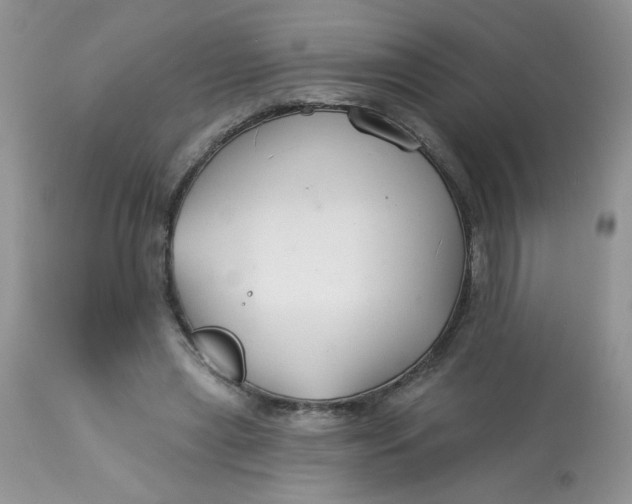 X0000113580445200910091506