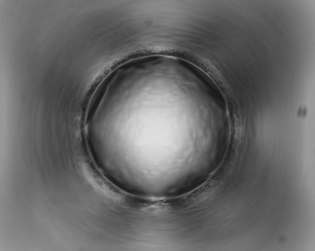 X0000113580447200910091506